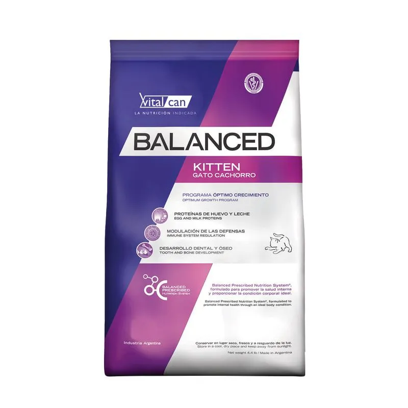 Balanced Gato Kitten