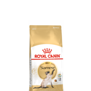 Siamese Royal Canin