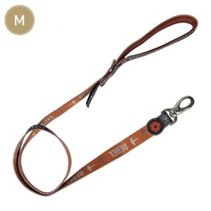 CORREA PARA PERROS – STAR WARS – VITAL FUN