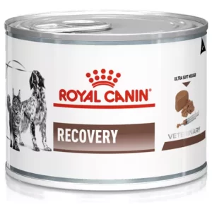 Recovery Lata Dog Royal Canin