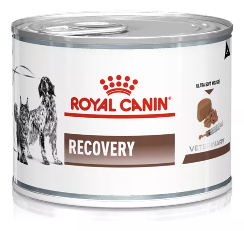 Recovery Lata Dog Royal Canin