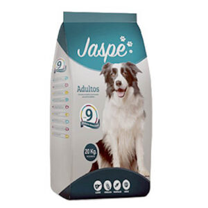 Jaspe Perro Adulto