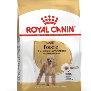 Caniche Adulto Royal Canin