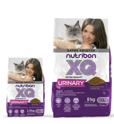 Nutribon XQ Gato Urinary
