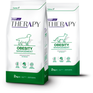 Therapy Feline Obesity Management