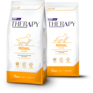 Therapy Canine Renal Care